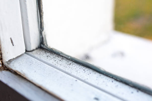 Best Mold Removal for HVAC Installations  in Spring Lake Heights, NJ