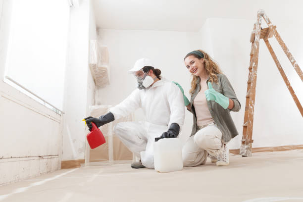 Best Asbestos and Lead Testing During Mold Inspection  in Spring Lake Heights, NJ